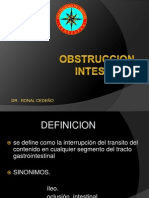 Obstrucción Intestinal