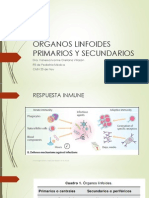 Órganos Linfoides Primarios y Secundarios