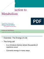 08- Metabolism Text (1)