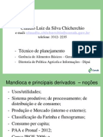 13_06_05_10_14_46_mandioca_e_derivados_-_nocao_produtos.pdf
