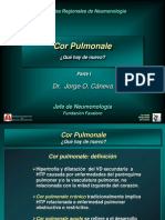 cor_pulmonale_parte_i.ppt