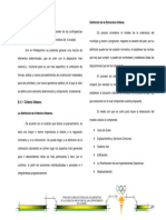 Criterios.pdf
