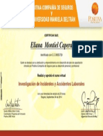 Certificacion en Investigacion de Incidentes y Accidentes Laborales PDF