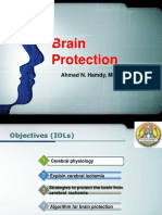 Brain Protection 12-03-2013 a.N.hamdy
