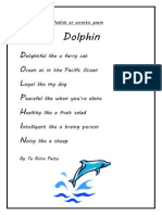 Te Riina Dolphin