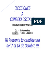 CARTEL ELECCIONES.doc