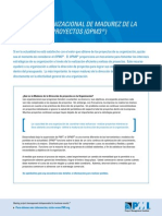 OPM3_Summary.pdf