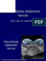 Sistemul Nervos
