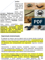 Introdução_ao_Filo_Arthropoda.pdf