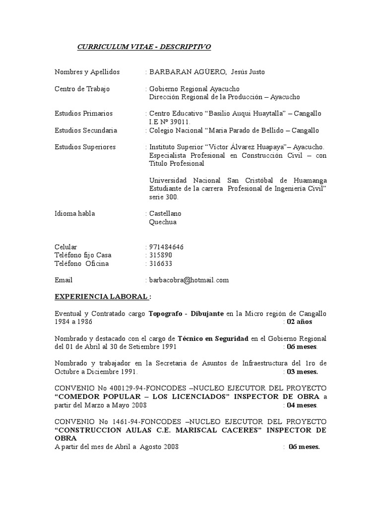 Professional curriculum vitae template image