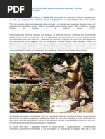 Nas diferenças e igualdades.docx