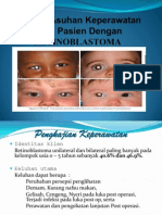 PP Persepsi Retinoblastoma