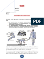 FILOGENIA DEL SISTEMA NERVIOSOfgrfgdf