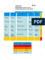 Escala Fedpalla PDF