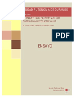 Ensayo Sobre El Valor PDF