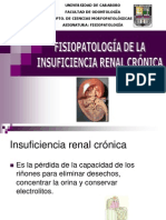 Insuficiencia Renal Cronica-1