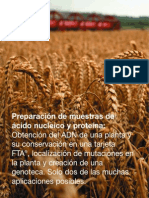 Preparacion Toma de Muestras Tarjetas FTA PDF