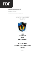 Download laporan kelarutan by Vhera Verove Febriiantii SN242099943 doc pdf