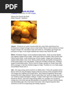 Download Rahasia Roti Empuk Dan Enak by greendt SN24210005 doc pdf