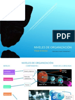 Niveles de Organización