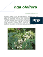 Moringa 2.pdf