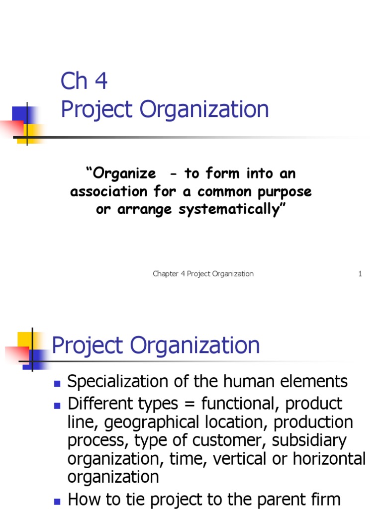 Project Organization Structures Explained | PDF | Engineering | Motivation
