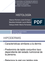 HISTOLOGIA TEGUMENTARIO.pptx