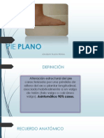 Pie Plano