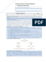 Ejemplo Reporte de Laboratorio.pdf