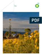 SR2013 - Unconventional - Gas - 2014 (Frac - Hidrau) PDF
