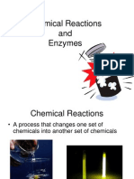 Enzymes and Chemical Reactions