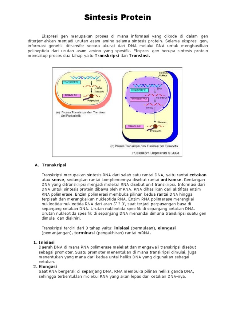 Sintesis - Protein Dan Lemak | PDF | Sains & Matematika