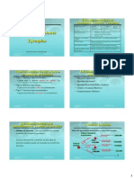 Tipos de Decisiones PDF