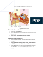 BAGIAN-BAGIAN TELINGA DAN FUNGSINYA.docx