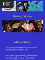 Download Mycology Virology by chocoholic potchi SN24215907 doc pdf