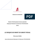 Le Risque de Mort en Droit Pénal PDF