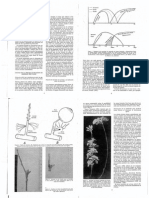 Fisiologia de la Madera Frutal W Feucht.pdf