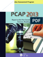 Pcap 2013 Public Report English