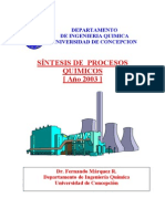 24464847-Sintesis-Procesos-Quimicos.pdf
