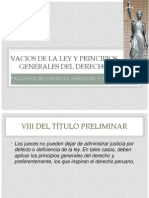 VACIOS_DE_LA_LEY_Y_PRINCIPIOS[1].pptx
