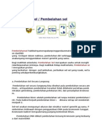 Reproduksi Sel / Pembelahan Sel: Pembelahansel