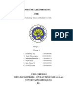 Download LAPORAN BIOKIMIA ENZIM  by khumairahnila SN242185774 doc pdf