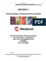 Seccion 1 - Teoria de Microcontroladores Nov-2008