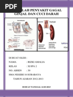 Download Makalah Penyakit Gagal Ginjal Dan Cuci Darah by Rizki Amalia SN242187588 doc pdf