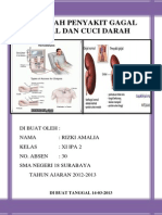 Makalah Penyakit Gagal Ginjal Dan Cuci Darah