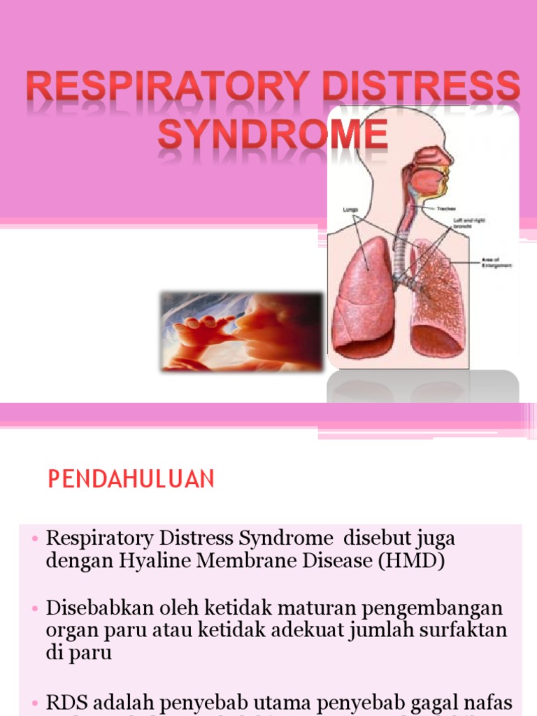 RDS | PDF | Sains & Matematika