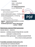 Renal Curs 2,3,4