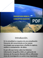 Introducción a PR.pdf