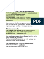 Unidad 6 PDF