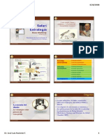 Safari estrategia.pdf